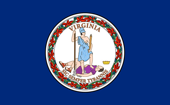 virginia state flag