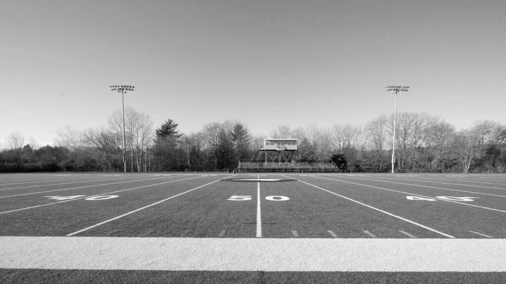 lawnpop artificial turf austin texas.jpg